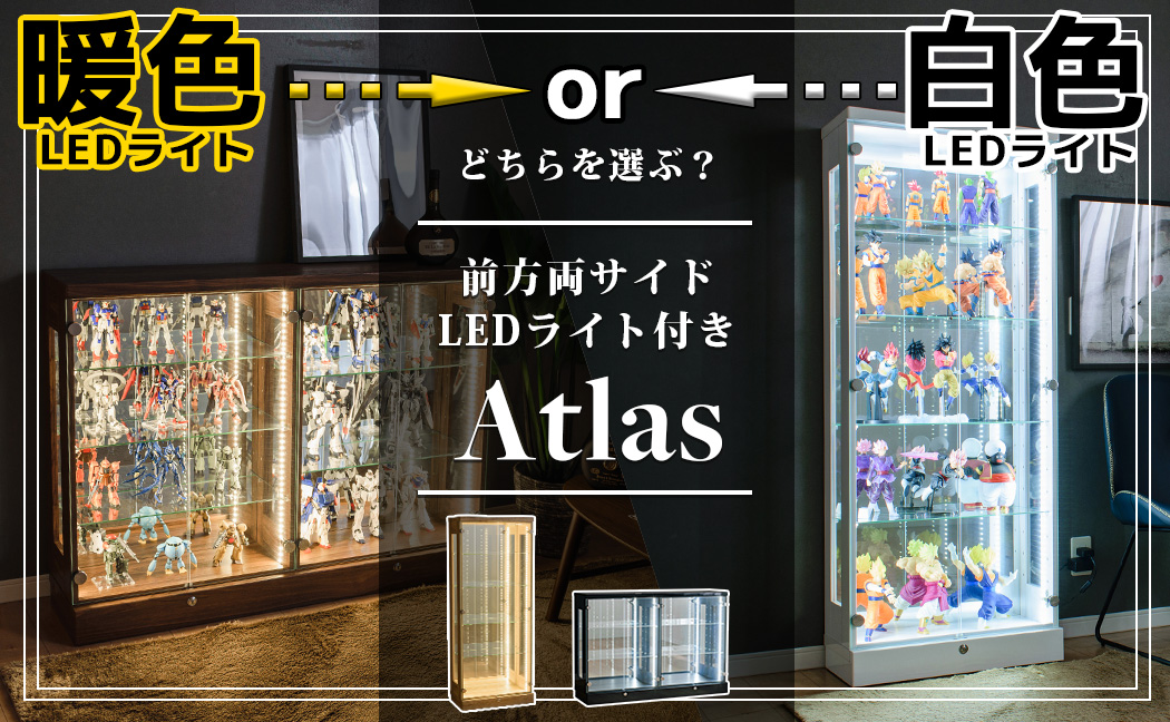 コレクションケース アトラス